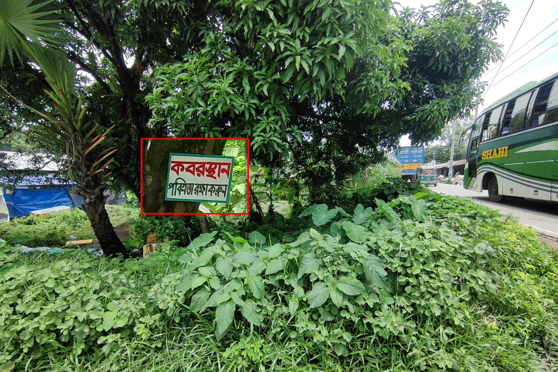 লক্ষ্মীপুরে অযত্নে আর অবহেলায় বিলুপ্তির পথে শহীদ মুক্তিযোদ্ধা সামছুল ইসলামের সমাধি